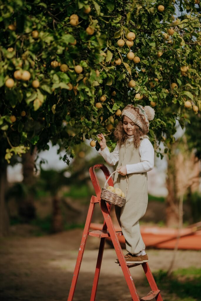 pexels-photo-32620523-32620523 A young girl on a ladder picking fruits in a lush orchard in Hatay, Türkiye.